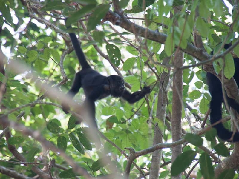 Mexico and Belize trip